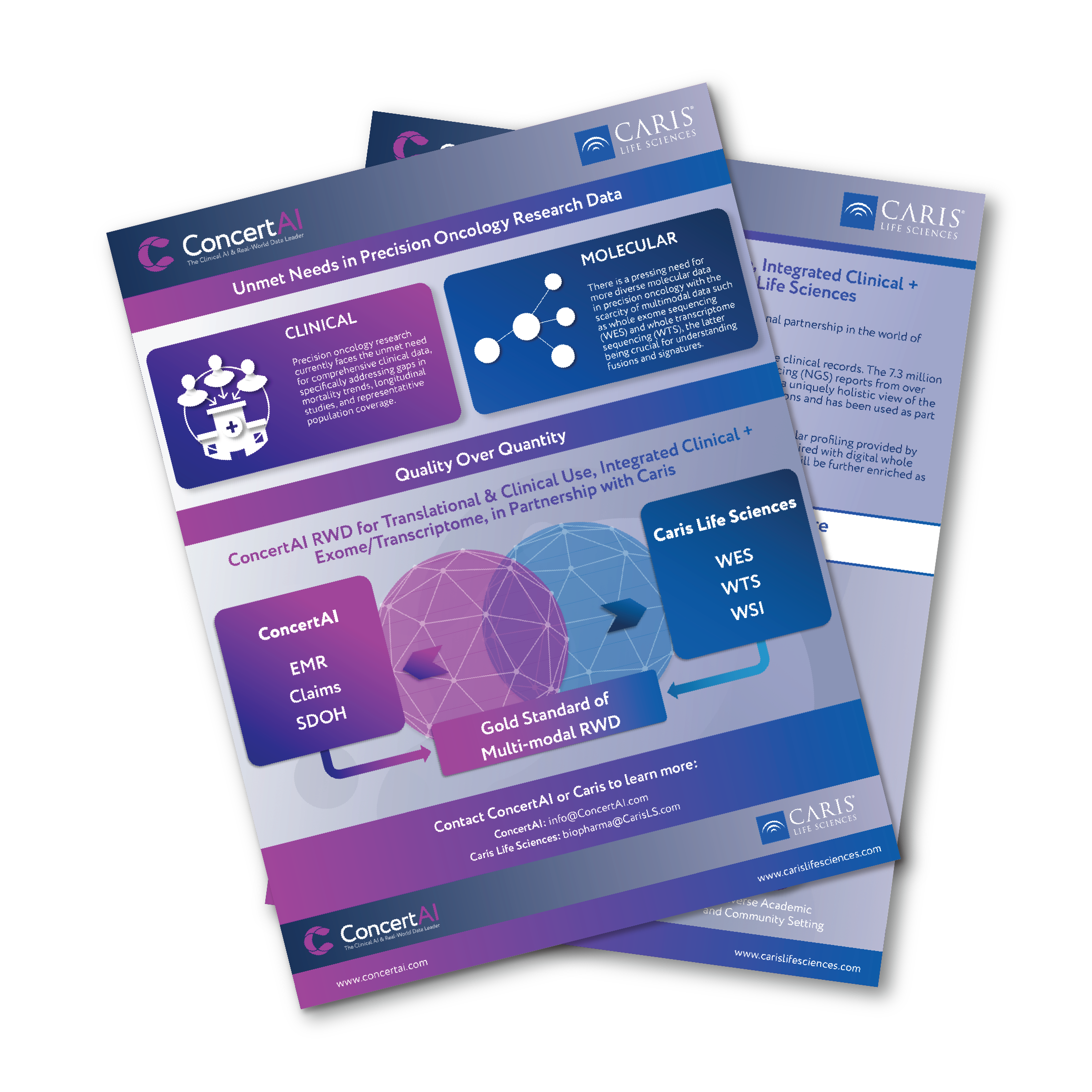 Caris-Factsheet-Fan