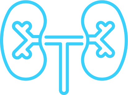 Renal Cancer