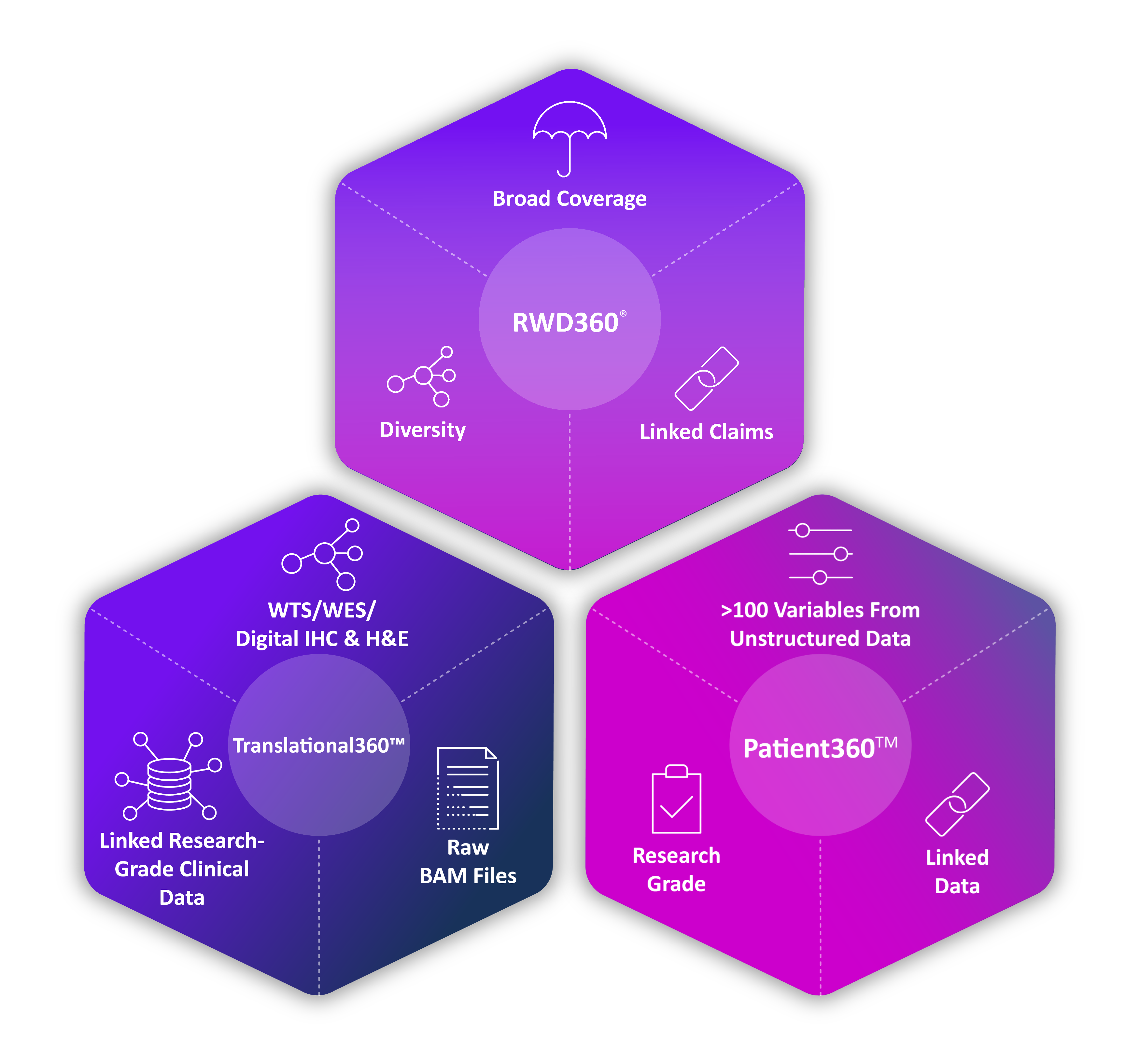 Data Hex NEW Data Hex NEW