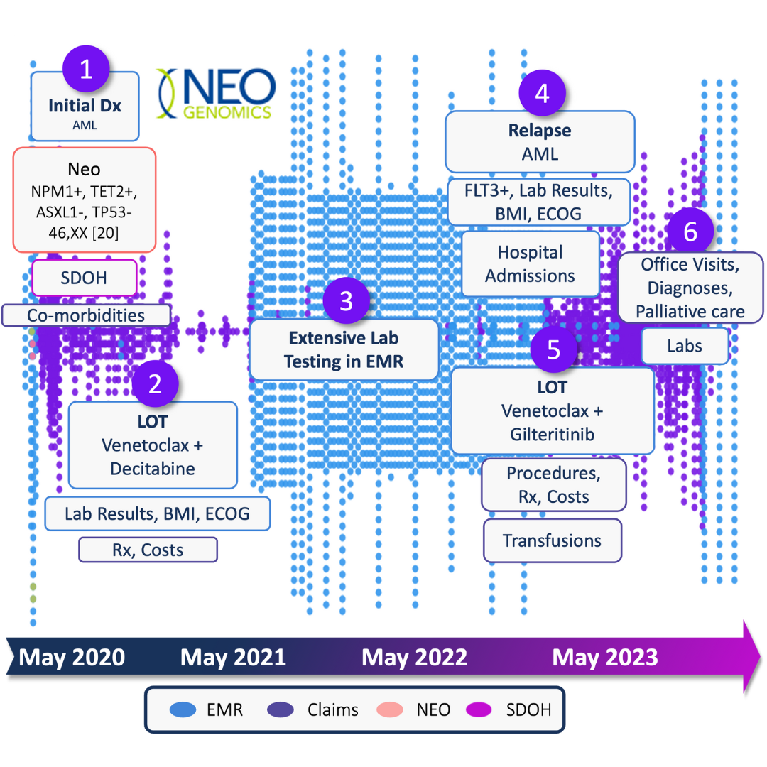 Translational360TM (3)