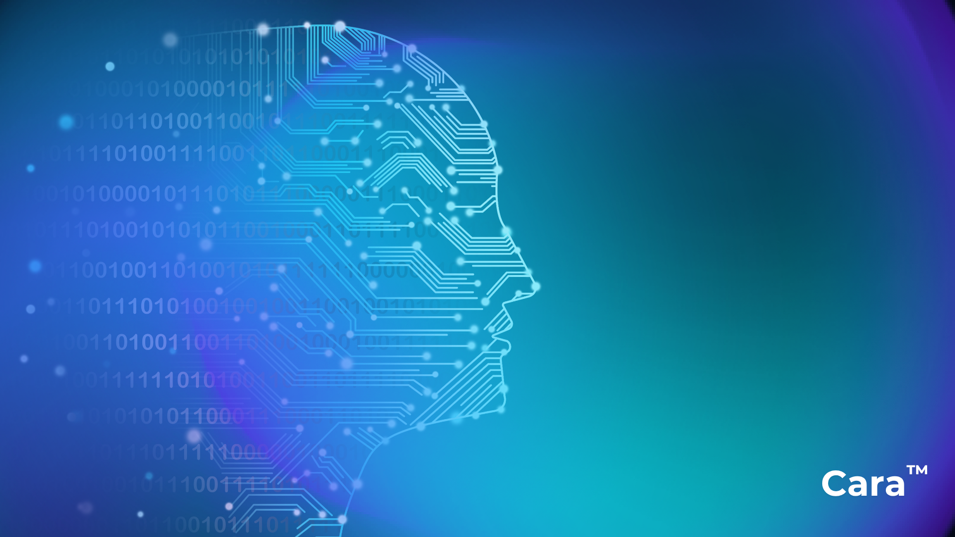 CARAai Smarter Data-1