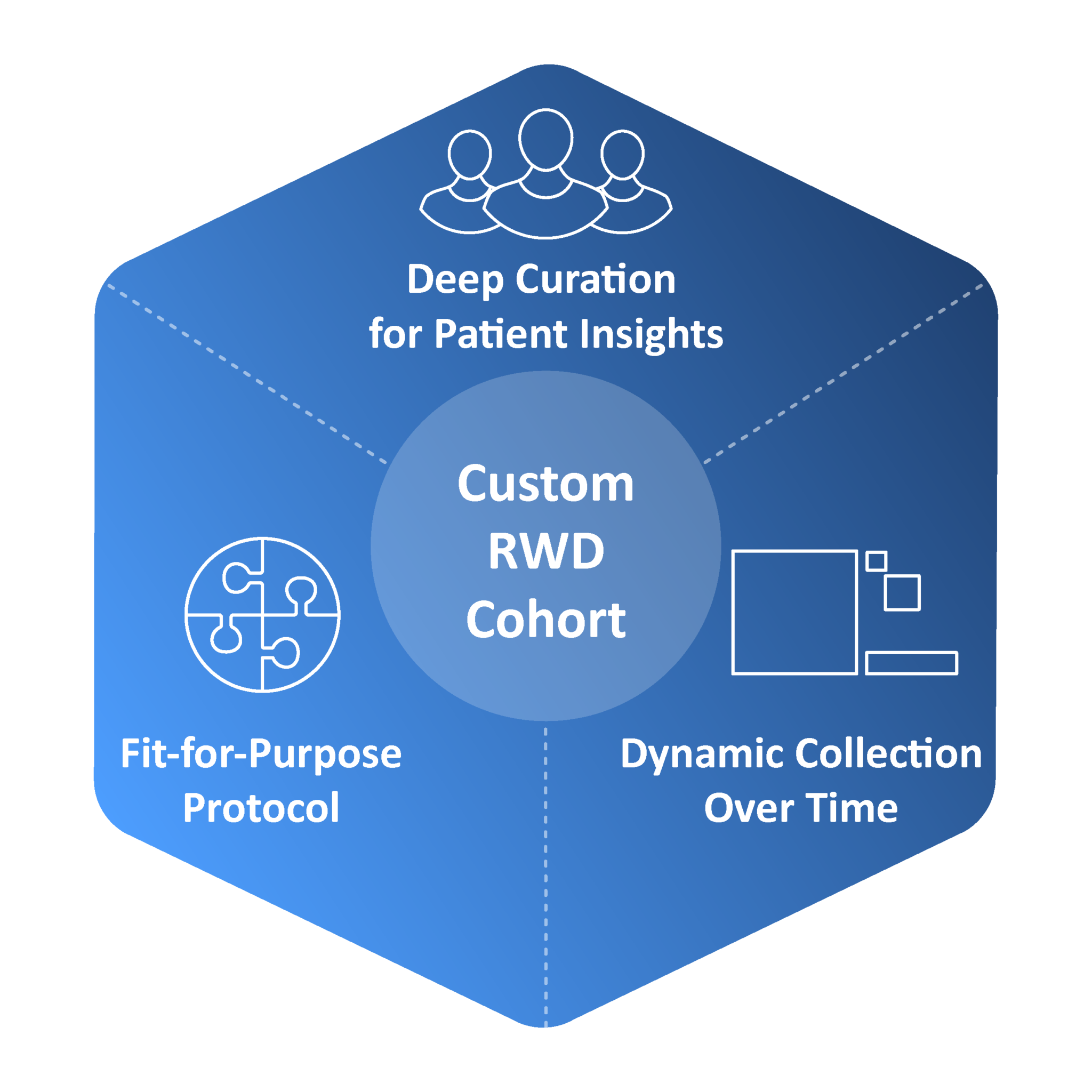 Custom Data Services for Specific Research Needs
